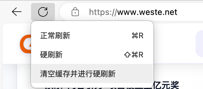 方法二:使用开发者工具(清空缓存并硬刷新)